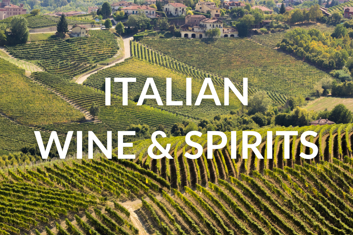 Wine and Spirits - Italy