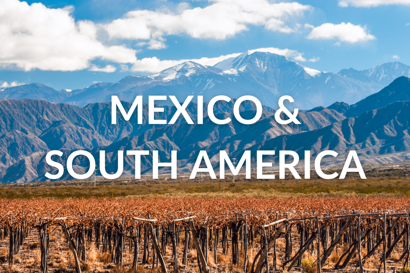 Wine and Spirits - South America and Mexico